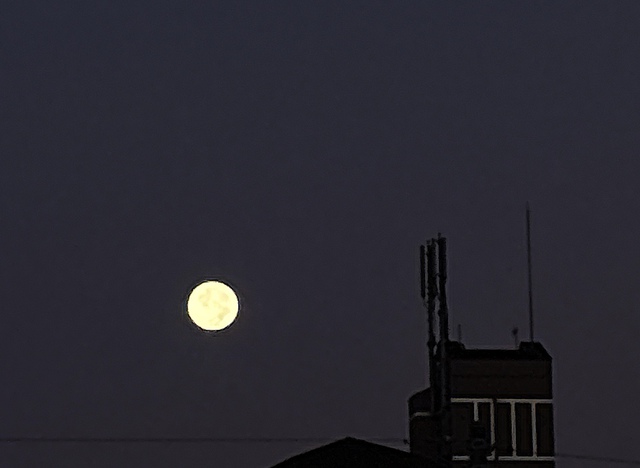 ぐちさんの この一枚「わたしたちの力の神に向かって喜び歌い・・ 角笛を吹き鳴らせ／新月、満月、わたしたちの祭りの日に（聖書　詩編81:1-3)<br><br>昨夜は曇に隠れていた満月が、今朝、雲のない空に輝いていました。チラシ配りをしながら満月を堪能させてもらいました。天地を造られた主に感謝。」