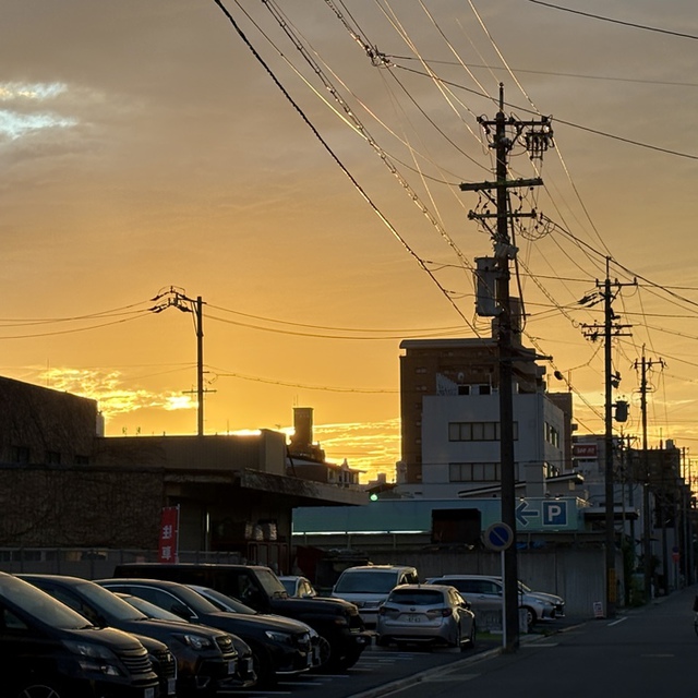 日の昇るところから日の沈むところまで／主の御名が賛美されるように（聖書　詩編113:3)

夕日がきれいに季節になりました。地平線に沈む夕日も素敵ですが、ビルの谷間に沈む夕日もまた素敵です。今日の一日を主に感謝。
みなさまの今週の歩みを主が豊かに祝福してくださいますように。