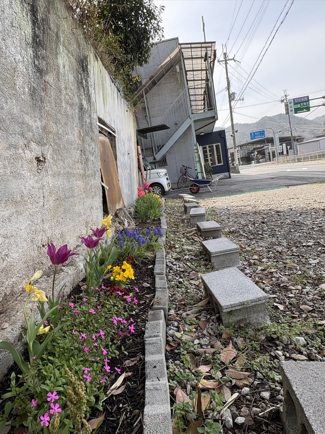 pipotさんの この一枚「教会ヨコ駐車場のスペースを花壇にしてみました。」