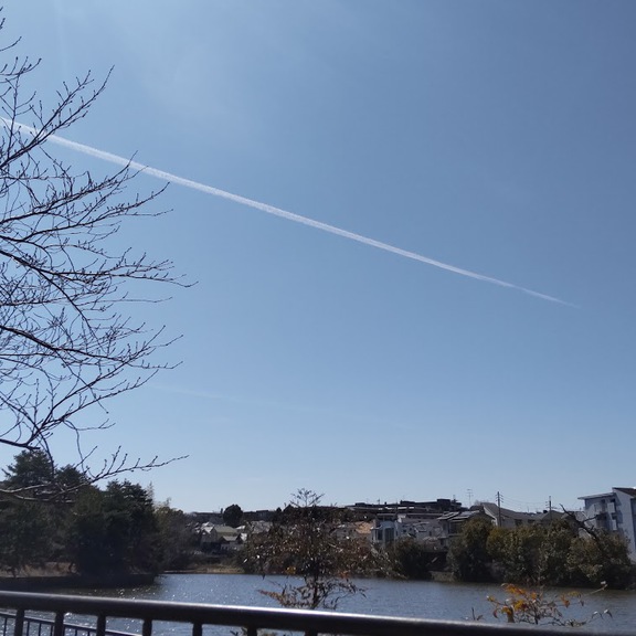 真っ青な空の青が水の色も青く染めます。ひとすじのひこうき雲、こんなまっすぐな気持ちで神さまに向かいたい。